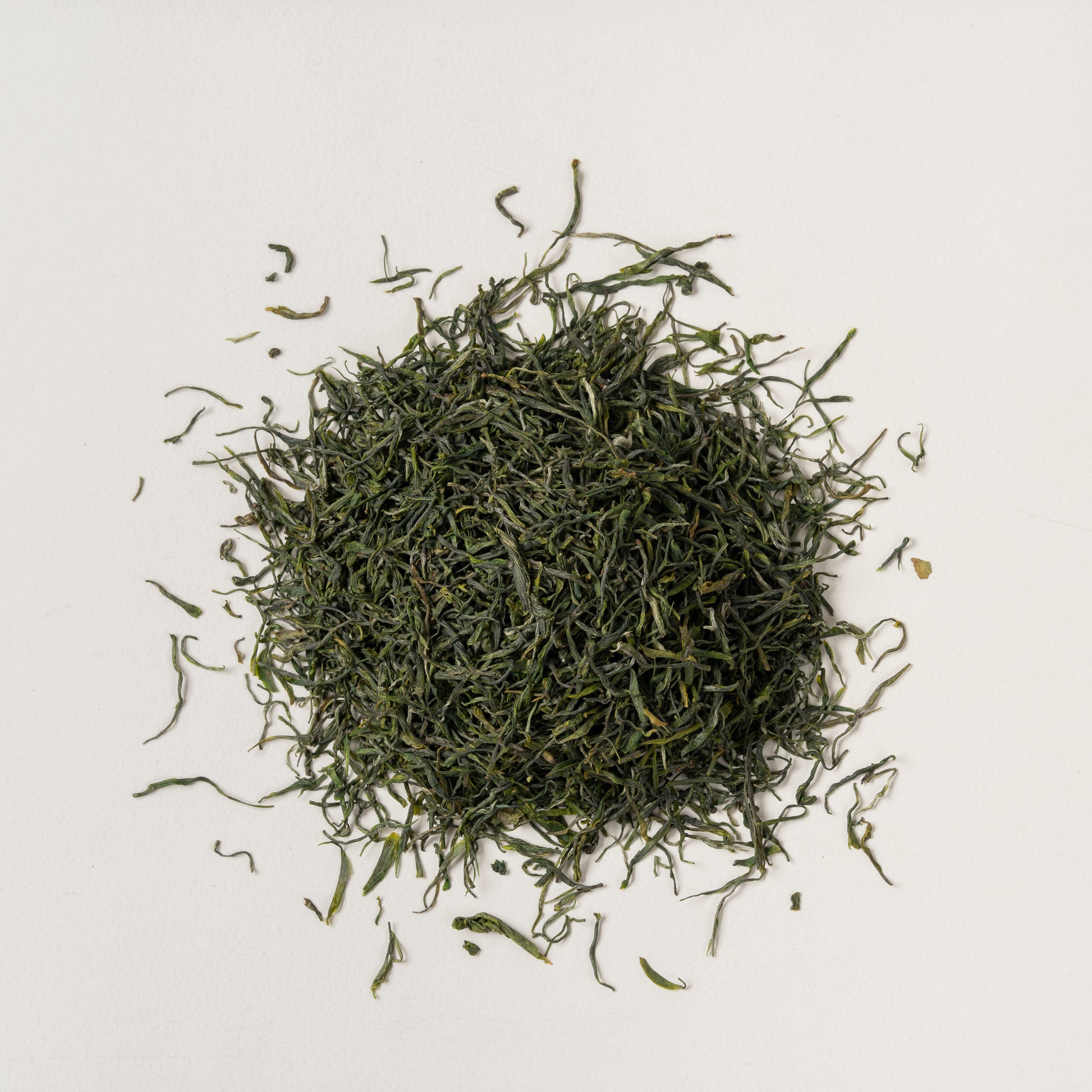 Pluvia Tea Jade Cloud