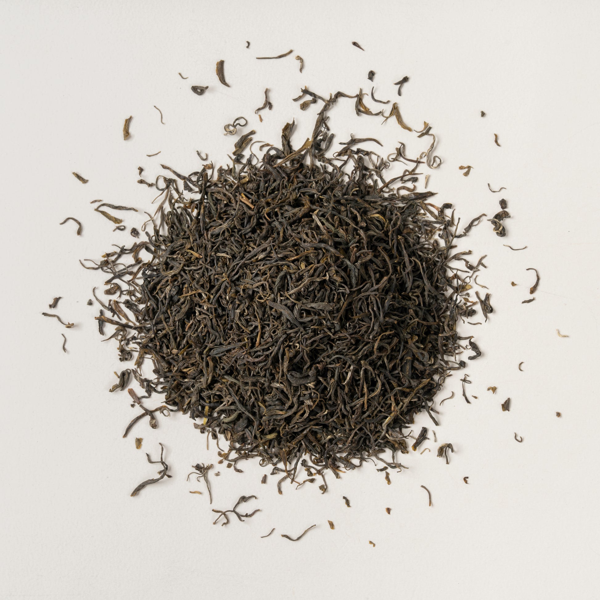 Pluvia Tea Jasmine Maojian