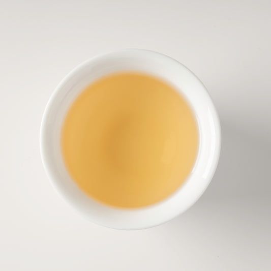 Pluvia Tea Jasmine Snowbud