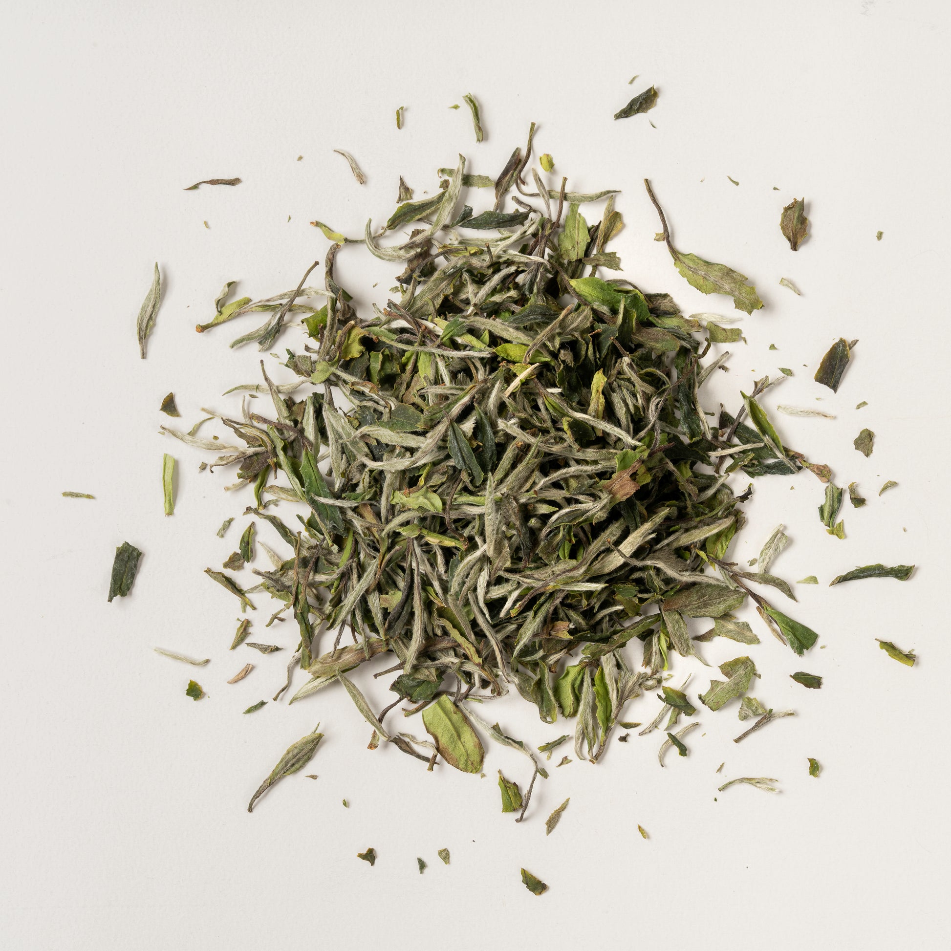 Pluvia Tea Mu Dan Wang