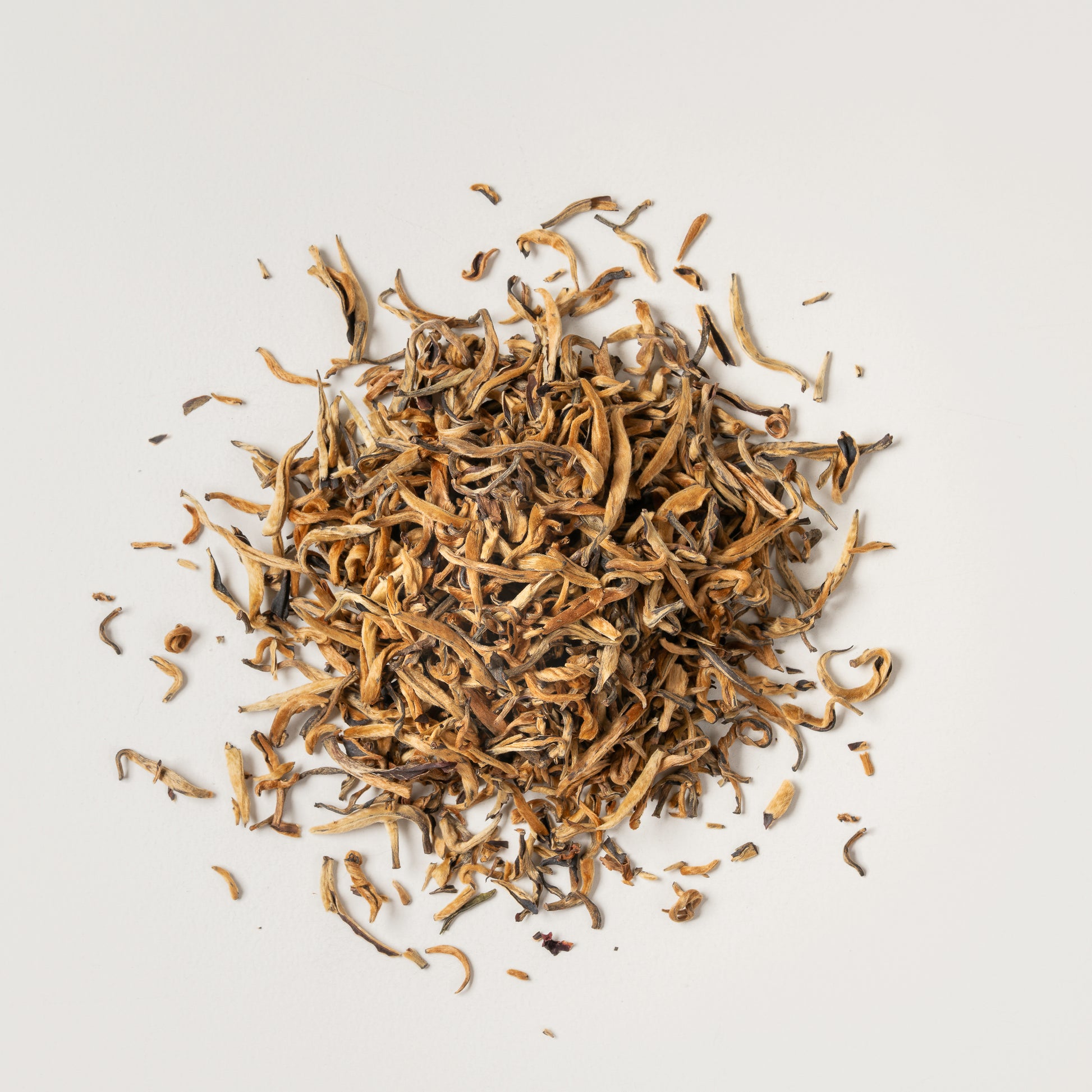 Pluvia Tea Rose Dianhong Golden Bud