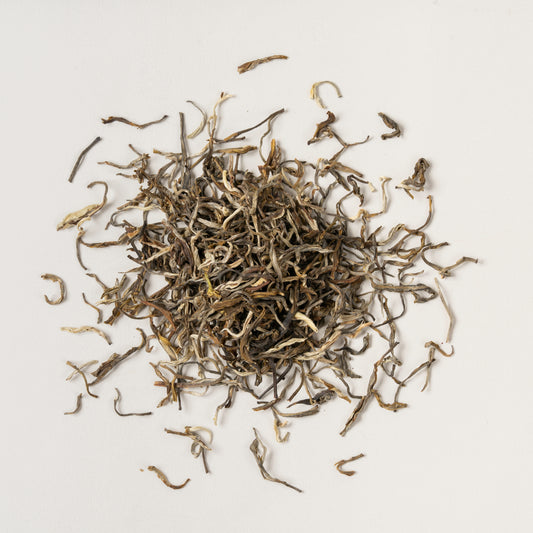 Pluvia Tea Jasmine Snowbud